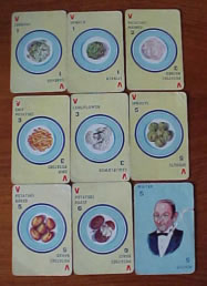 Vegetables