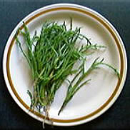 Samphire