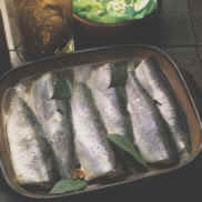 Herrings